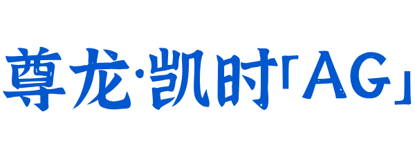 沼气入炉掺烧发电